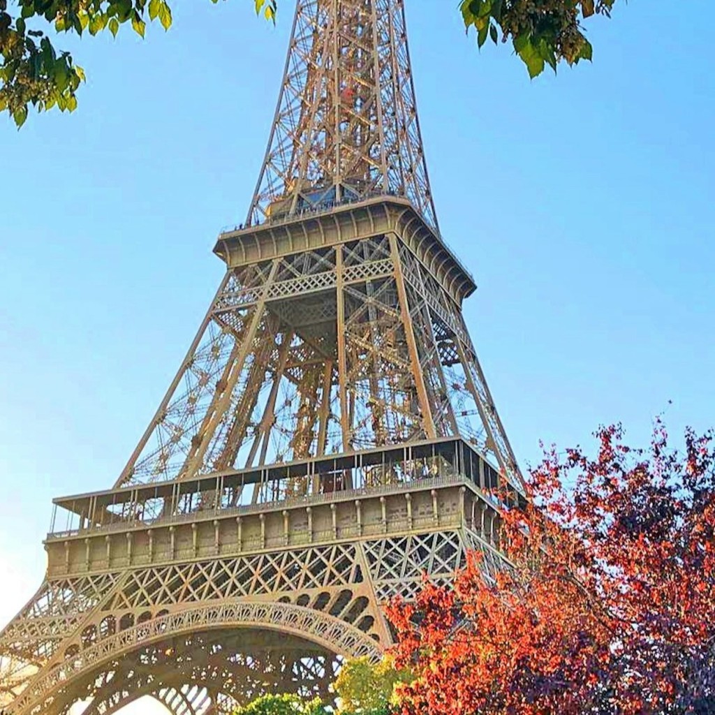 Torre Eiffel: Ingresso riservato + opzione 2° piano e Summit - 2nd Floor Access - 3