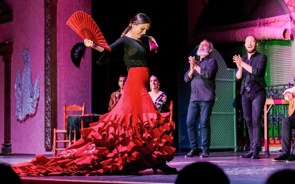 El Palacio Andaluz - Flamenco Show (Flamenco & Dinner) - 1