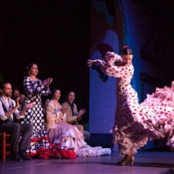 El Palacio Andaluz Sevilla Flamenco Show + Glass of Cava or Dinner - 2