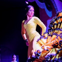 El Palacio Andaluz Sevilla: Flamenco solo - 1