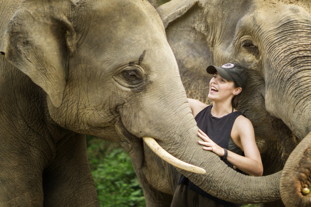 Elephant Jungle Sanctuary Pattaya (Elephant Jungle Sanctuary Pattaya - Half-Day Morning Visit with Round Trip Transfer) - 2