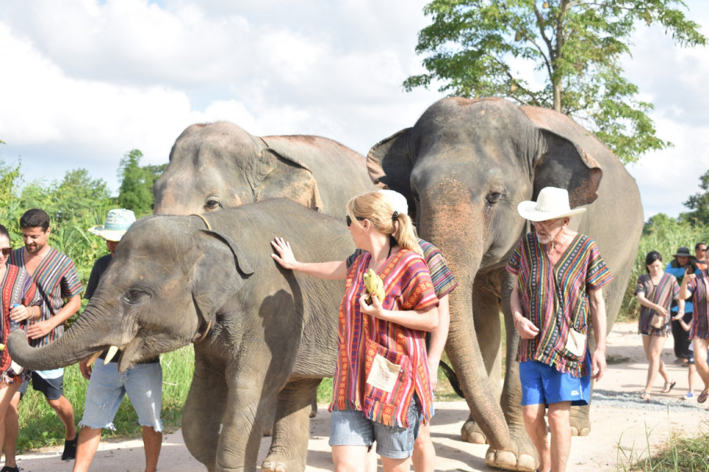 Elephant Jungle Sanctuary Pattaya (Elephant Jungle Sanctuary Pattaya - Half-Day Morning Visit with Round Trip Transfer) - 3