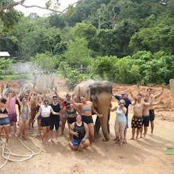 Parc de retraite des éléphants de Phuket : Programme de soins aux éléphants + transferts + déjeuner - 2