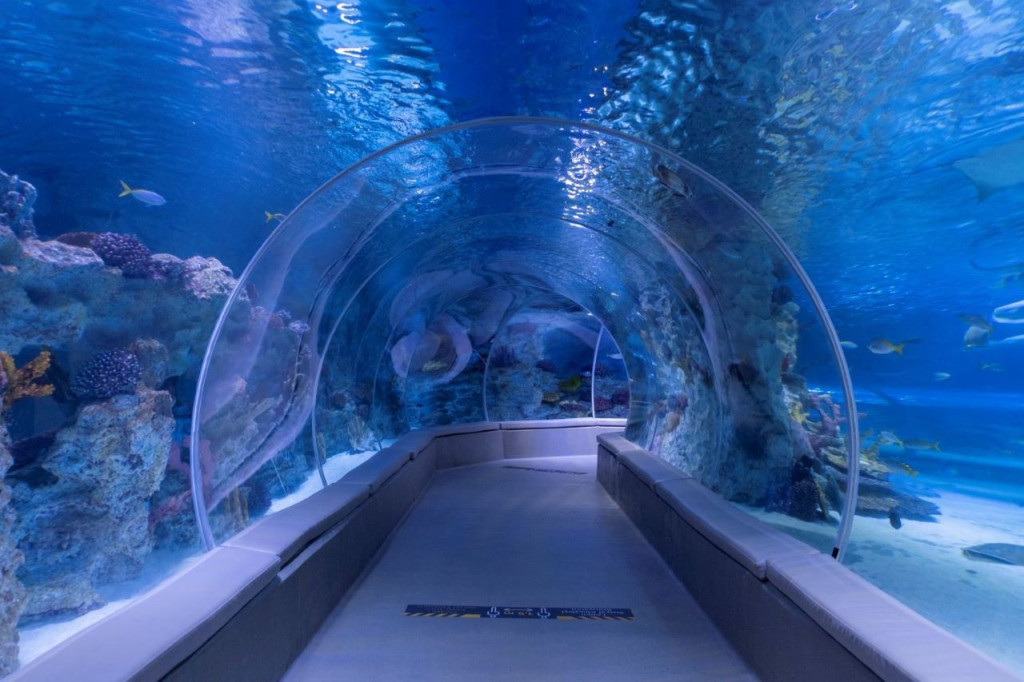 Emaar Aquarium and Underwater Zoo Ticket (Emaar Aquarium and Underwater Zoo - Admission) - 1