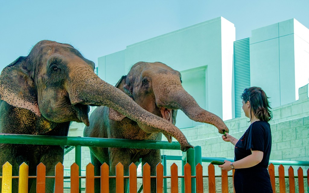 Ingressos Emirates Park Zoo (Emirates Park Zoo Regular Ticket) - 2