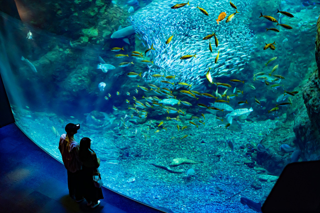 Enoshima Aquarium (Enoshima Aquarium - Admission) - 1