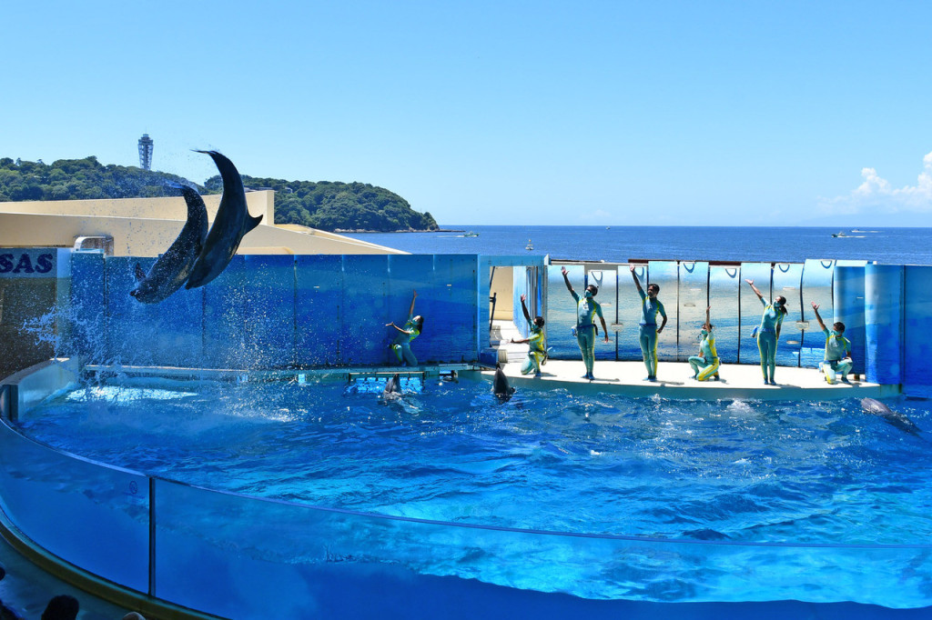 Enoshima Aquarium (Enoshima Aquarium - Admission) - 2