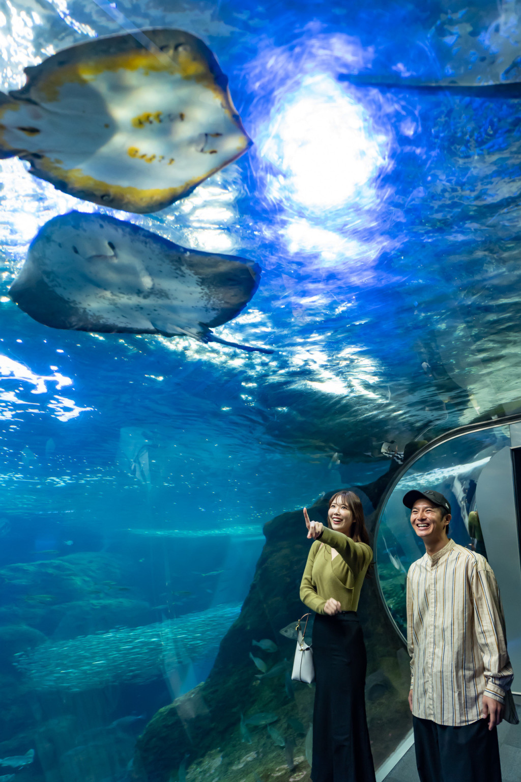 Enoshima Aquarium (Enoshima Aquarium - Admission) - 3