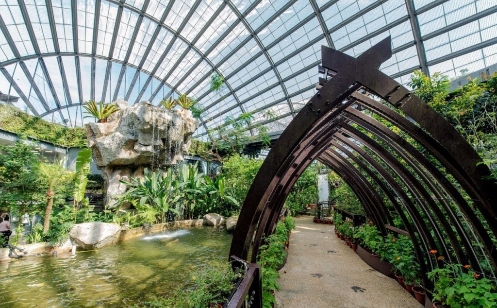 Entopia by Penang Butterfly Farm Ticket (Entopia by Penang Butterfly Farm - Admission (Malaysian Citizens)) - 2