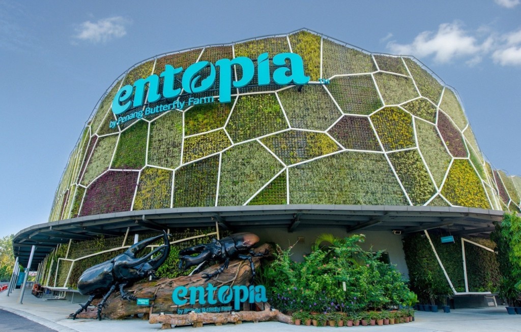 Entopia by Penang Butterfly Farm Ticket (Entopia by Penang Butterfly Farm - Admission (Malaysian Citizens)) - 3
