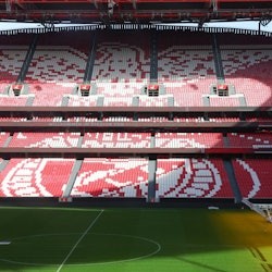 Estádio da Luz & Benfica Museum: Entry Ticket + Wine Tasting + Scarf Offer - 2