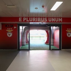 Estádio da Luz & Benfica Museum: Entry Ticket + Wine Tasting + Scarf Offer - 3