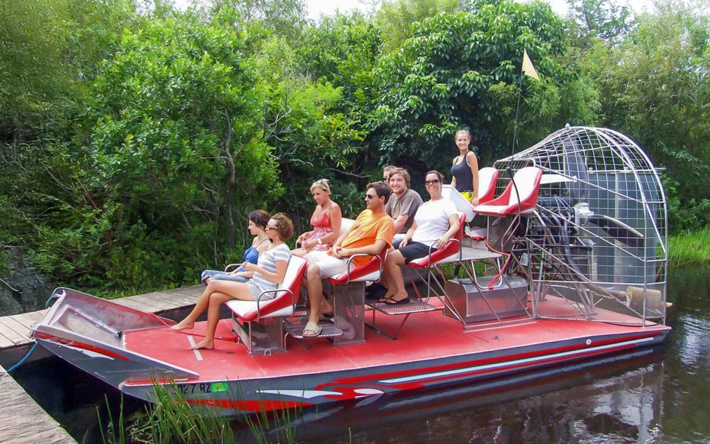 Parque Nacional de los Everglades: Tour en hidrodeslizador con exhibición de reptiles (Everglades National Park Airboat Tour) - 3