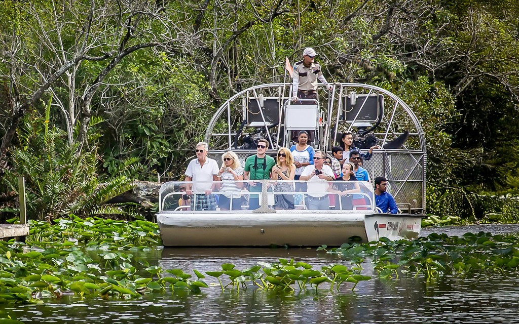 Parque Nacional de los Everglades: Tour en hidrodeslizador con exhibición de reptiles (Everglades National Park Airboat Tour with Transportation from Miami) - 2