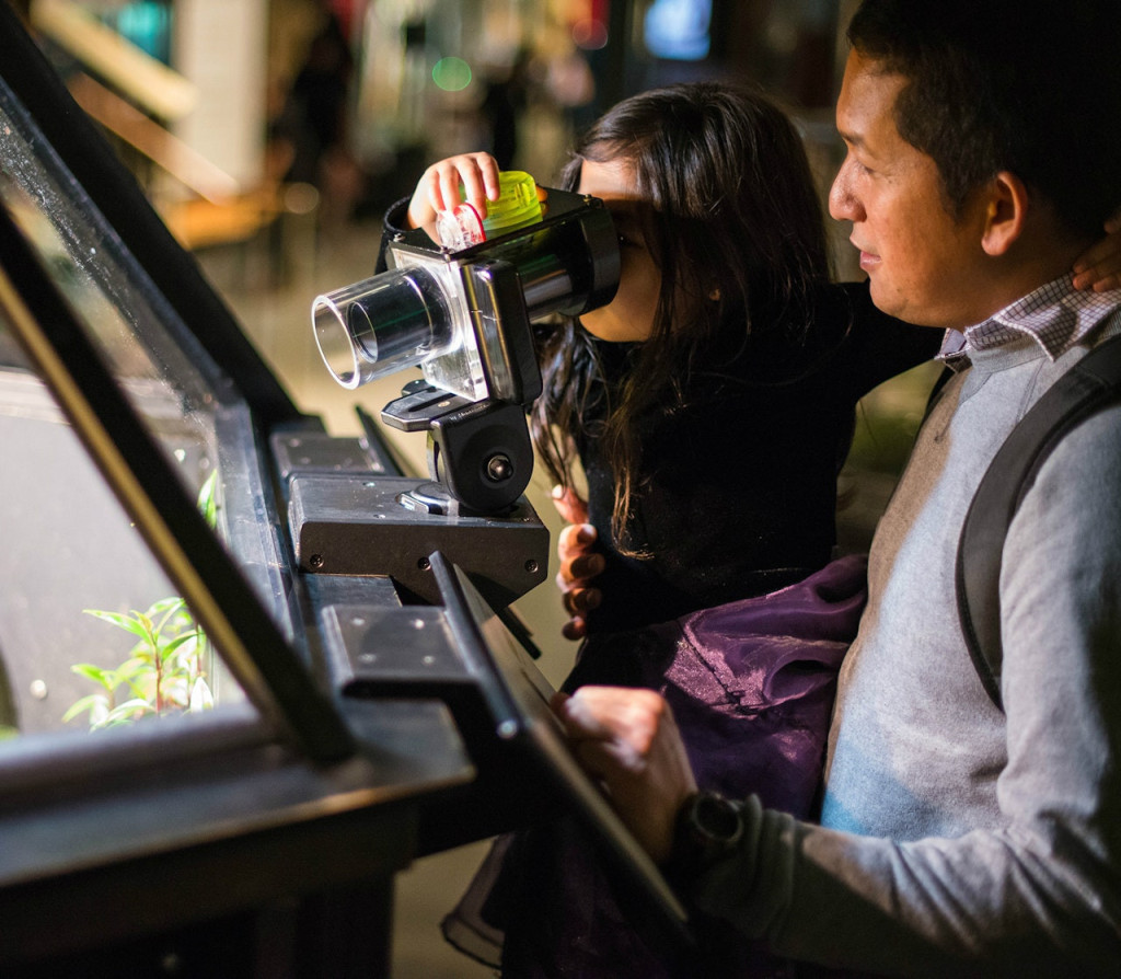 Exploratorium (Exploratorium - Admission to After Dark Thursday Nights) - 2