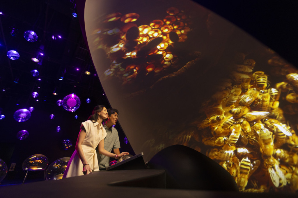 Exploria in Mandai Singapore Ticket (Open Dated Admission (International Travellers)) - 3