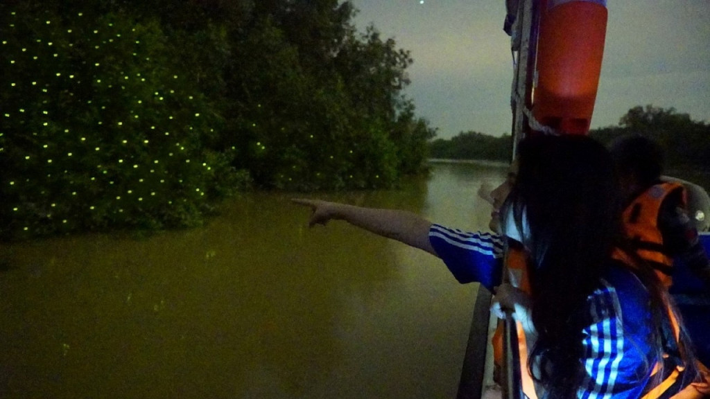 Fireflies Boat Cruise in Kuala Selangor (Fireflies Boat Cruise in Kuala Selangor (Malaysian Citizen)) - 1