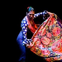 Flamenco Dance Museum: Entry Ticket + Puro Flamenco Show - 2