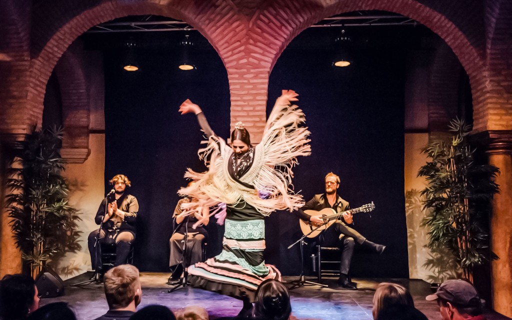 Flamenco Dance Museum - Flamenco Show (Flamenco Show) - 1