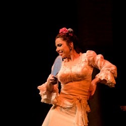 Flamenco Dance Museum - Show Only - 1