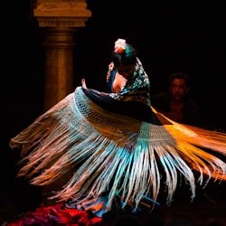 Flamenco Dance Museum - Show Only - 2