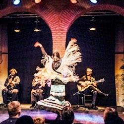 Flamenco Dance Museum - Show Only - 3