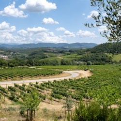 Florenz: Halbtägige geführte E-Bike Tour + Mittagessen - 2