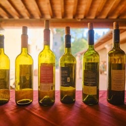 Florence : Atelier de vinification et dégustation en petit groupe - 3