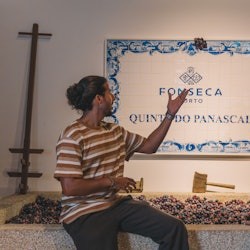 Fonseca Portwein-Keller: Selbstgeführte Tour + Verkostung - 1
