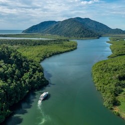 フランクランド諸島サンゴ礁:ケアンズ発ガイド付き日帰りクルーズ+シュノーケリング+ランチ - 1