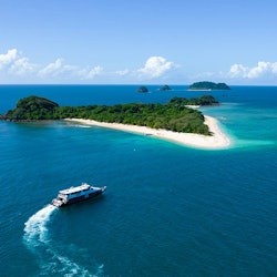 フランクランド諸島サンゴ礁:ケアンズ発ガイド付き日帰りクルーズ+シュノーケリング+ランチ - 2