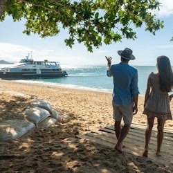 フランクランド諸島サンゴ礁:ケアンズ発ガイド付き日帰りクルーズ+シュノーケリング+ランチ - 3