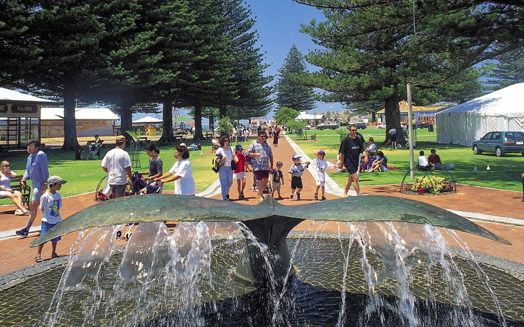 De Adelaide: Viagem de um dia a Victor Harbor e aos destaques do sul da Austrália (Victor Harbor and Southern Highlights) - 3