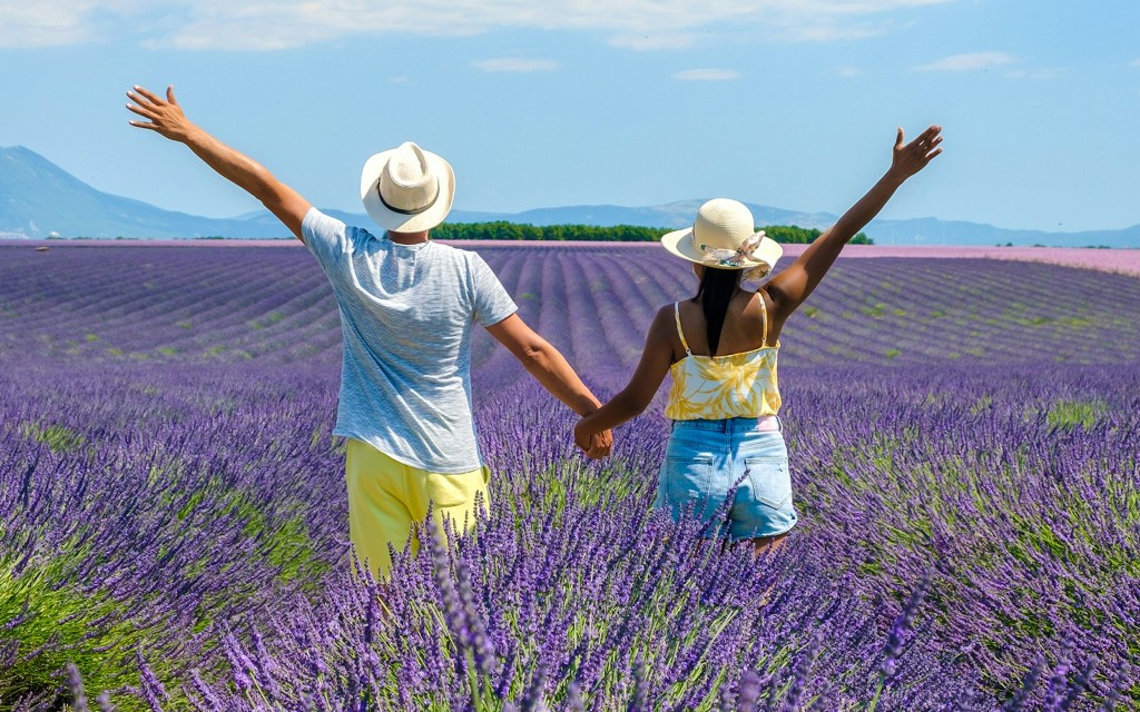 Von Aix-En-Provence aus: Lavendelfelder Tour (Half-Day Morning Tour) - 2