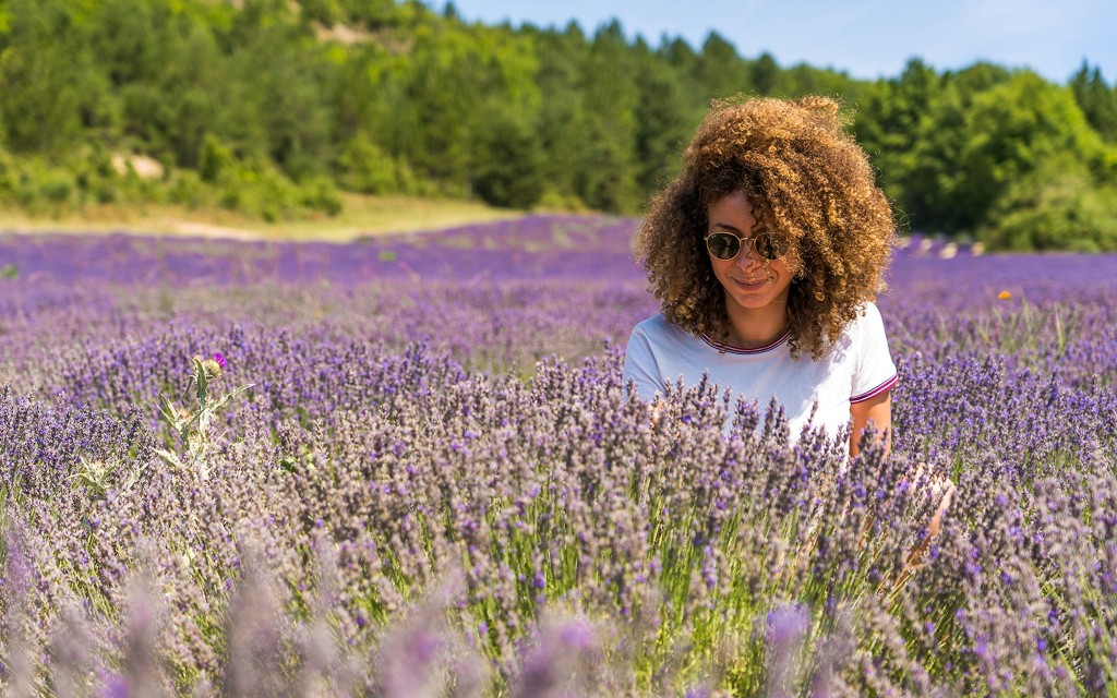 Von Aix-En-Provence aus: Lavendelfelder Tour (Half-Day Morning Tour) - 3