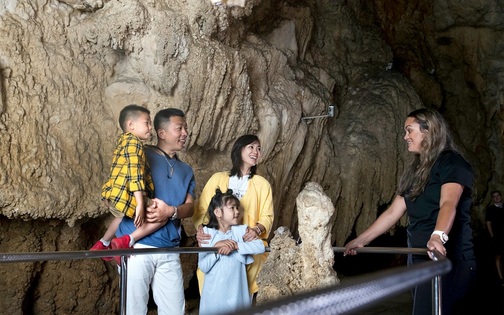 From Auckland: Hobbiton Movie Set and Waitomo Caves Guided Tour with Lunch (Shared Tour with Lunch) - 3