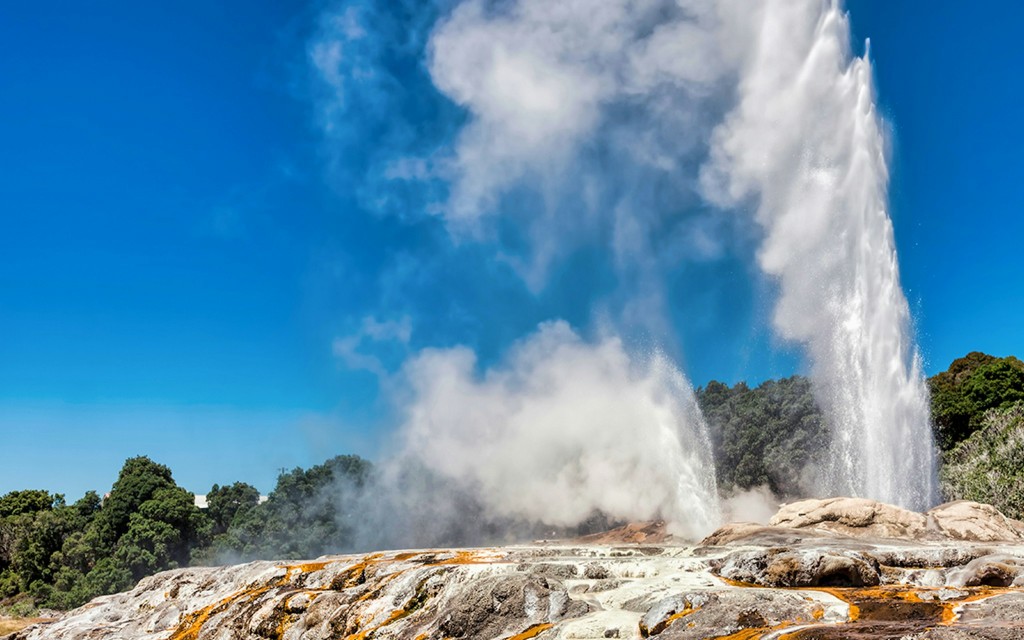 From Auckland: Hobbiton & Te Puia Tour with Festive Lunch & Hangi Dinner Buffet (Shared Tour) - 3