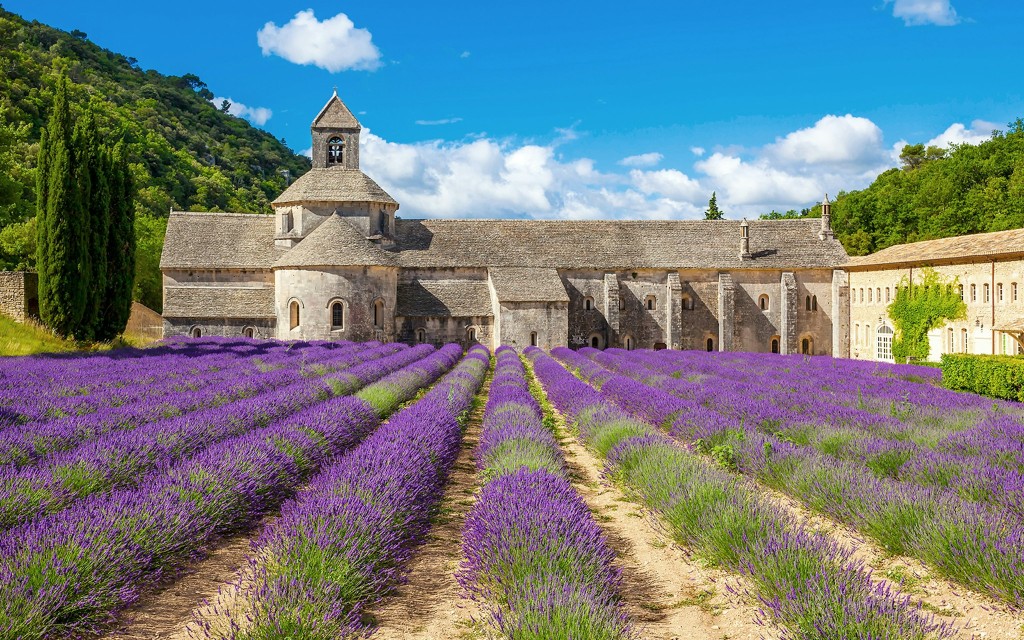 Von Avignon: Luberon Lavendel Tour am Morgen oder am Nachmittag (Afternoon Tour) - 2