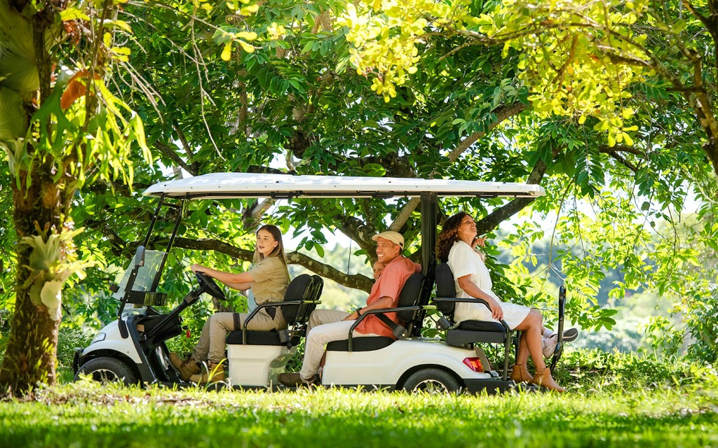 Von Brisbane aus: Australia Zoo Tickets mit Transfers (Australia Zoo entry with transfers) - 3
