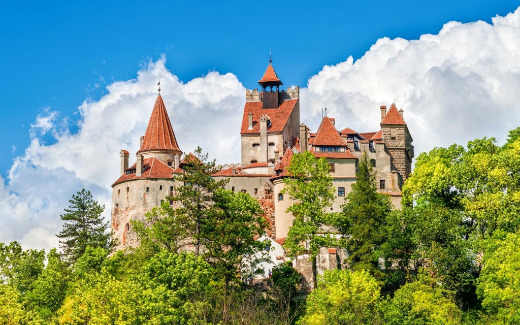 Desde Bucarest: Tour de un día por el Santuario del Oso, el Castillo de Bran y Brasov (Bear Sanctuary, Bran Castle & Brasov Day Tour with Entry Tickets) - 2
