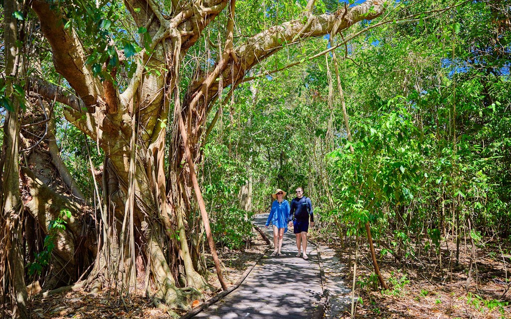 Von Cairns aus: 2 Inseln an 1 Tag – Tour nach Fitzroy Island + Green Island (2 Islands Day Trip + Snorkel Gear) - 3
