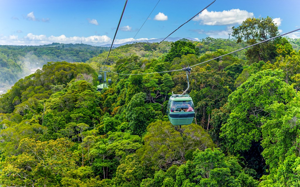 From Cairns: Scenic Train, Skyrail & Kuranda Rainforest Tour (Scenic Rail, Skyrail & Rainforestation Tour) - 2