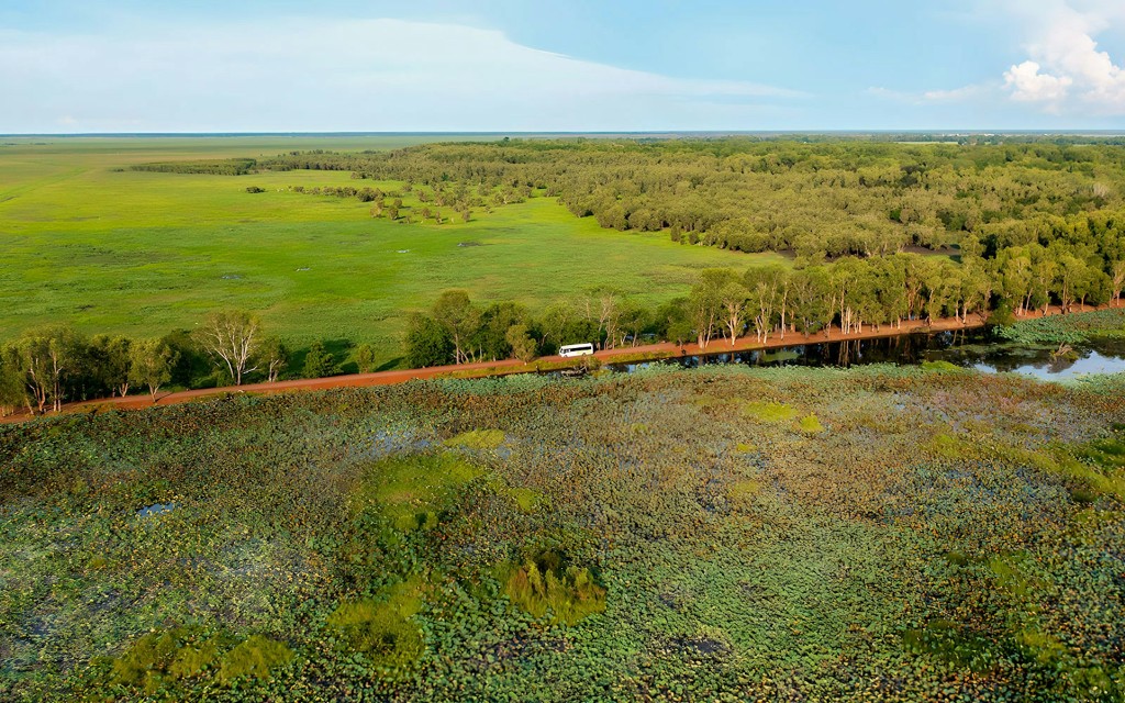 From Darwin: Kakadu Wilderness Full-Day Guided Tour (Kakadu Wilderness Escape + Jumping Crocodile Cruise) - 1