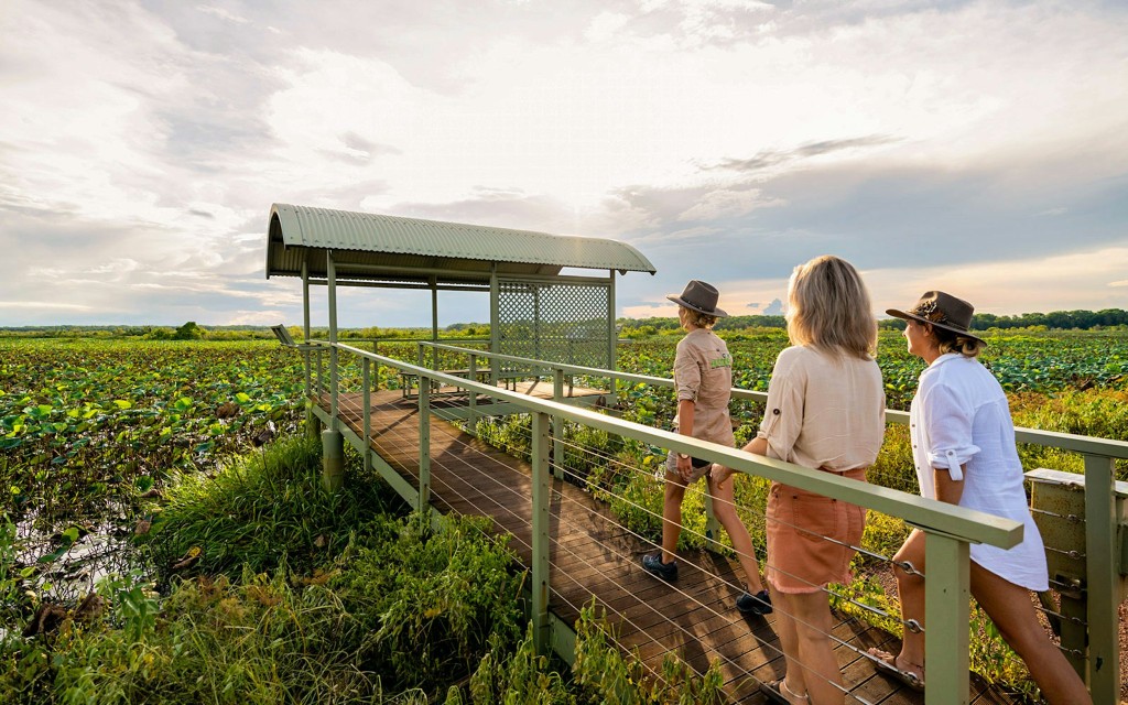 From Darwin: Kakadu Wilderness Full-Day Guided Tour (Kakadu Wilderness Escape + Jumping Crocodile Cruise) - 2