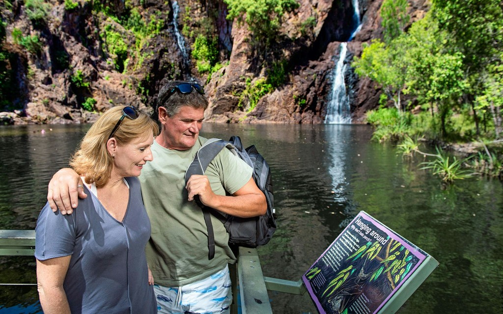 From Darwin: Litchfield National Park Day Tour with Optional Lunch (Litchfield National Park + Fogg Dam Wetlands) - 2