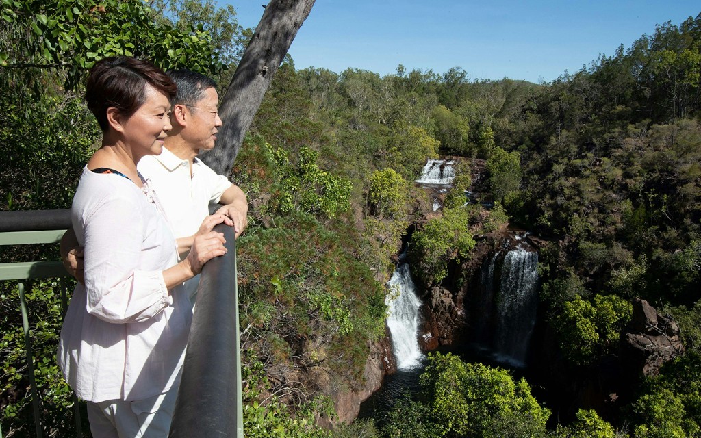From Darwin: Litchfield National Park Day Tour with Optional Lunch (Litchfield National Park + Fogg Dam Wetlands) - 3