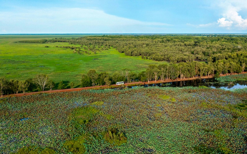 From Darwin: Litchfield National Park Day Tour with Optional Lunch (Litchfield National Park + Lunch) - 1