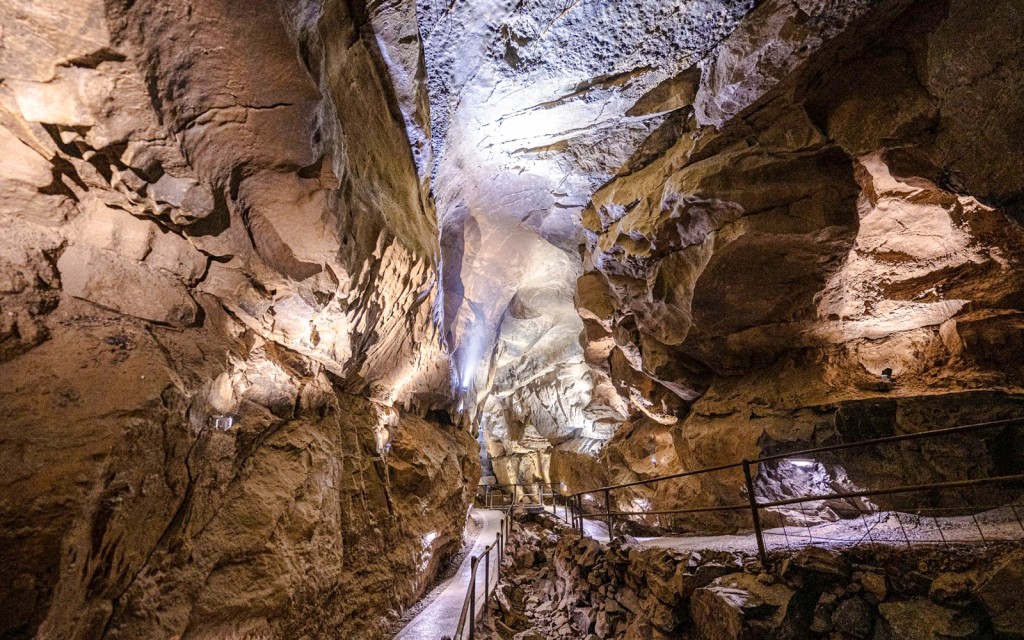 From Dublin: Birds of Prey, Aillwee Cave & Cliffs of Moher (From Dublin: Birds of Prey, Aillwee Cave & Cliffs of Moher) - 3