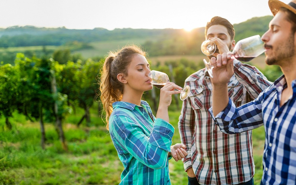 From Florence: Chianti Wine Tasting Tour (English Guided Tour) - 1