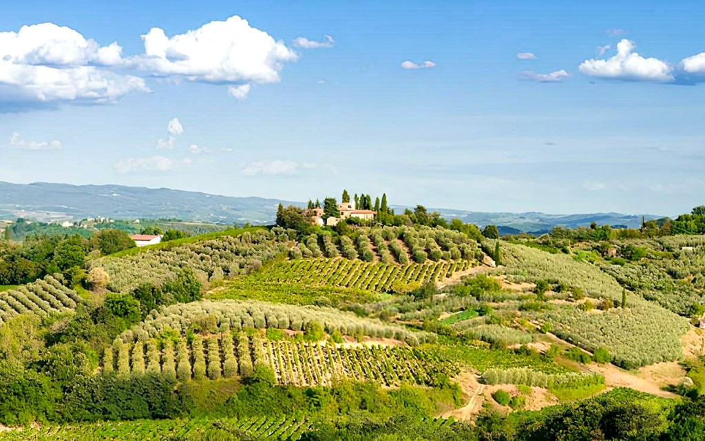 From Florence: Chianti Wine Tasting Tour (English Guided Tour) - 2